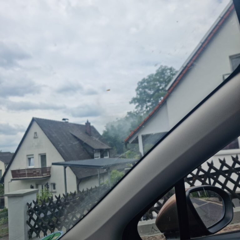 Einsatz_1706_01